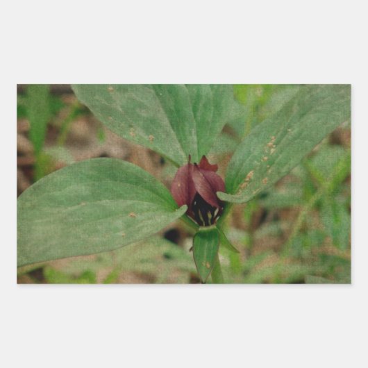 Trilliumventiel Rechthoekige Sticker (Voorkant)