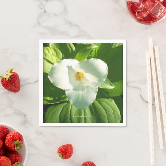 Trilliumventiel Servet (Insitu)