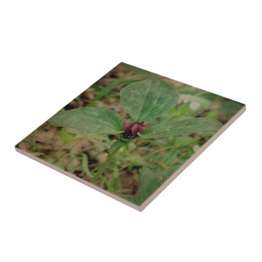 Trilliumventiel Tegeltje (Zijkant)