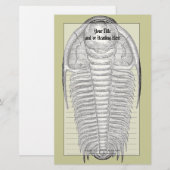  trilobiet fossiel briefpapier (Voorkant / Achterkant)