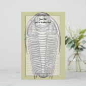  trilobiet fossiel briefpapier (Staand voorkant)