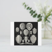 Trilobite! Briefkaart (Staand voorkant)