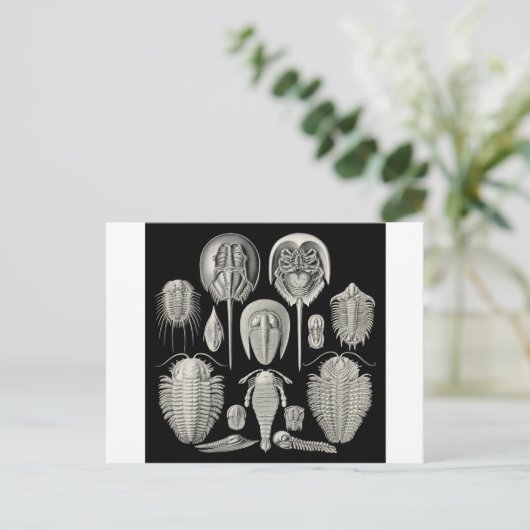 Trilobite! Briefkaart (Staand voorkant)