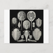 Trilobite! Briefkaart (Voorkant)