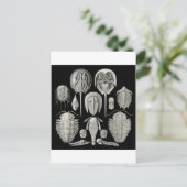 Trilobite! Briefkaart (Staand voorkant)