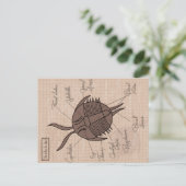 Trilobite Briefkaart (Staand voorkant)