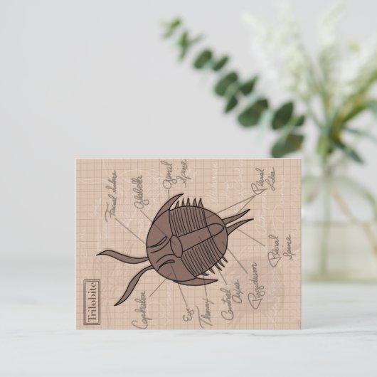 Trilobite Briefkaart (Staand voorkant)