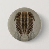 Trilobite-Button Ronde Button 5,7 Cm (Voorkant)