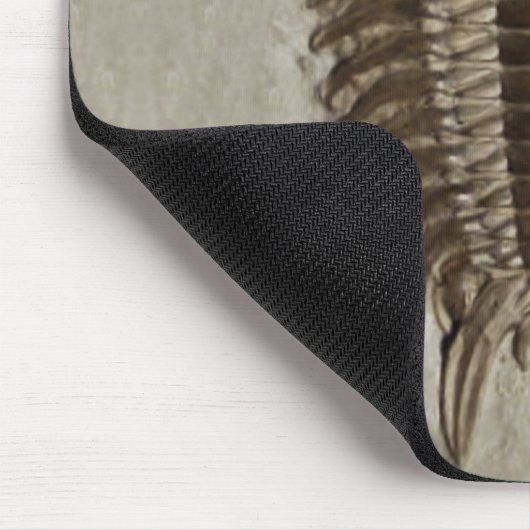 Trilobite Fossil Mousepad Muismat (Hoek)