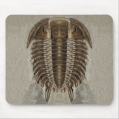 Trilobite Fossil Mousepad Muismat (Voorkant)