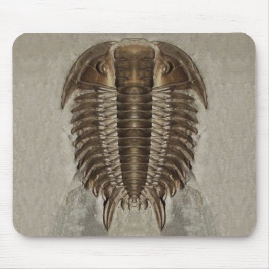Trilobite Fossil Mousepad Muismat (Voorkant)