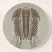 Trilobite Fossil Onderzetter (Voorkant)