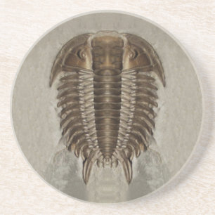 Trilobite Fossil Onderzetter