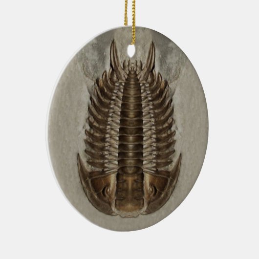 Trilobite Fossil Ornament (Rechts)