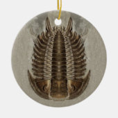 Trilobite Fossil Ornament (Voorkant)