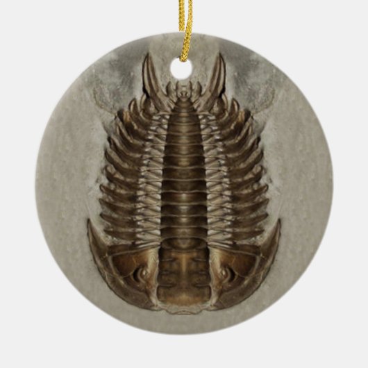 Trilobite Fossil Ornament (Voorkant)