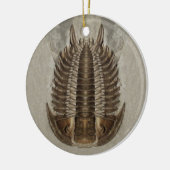 Trilobite Fossil Ornament (Links)