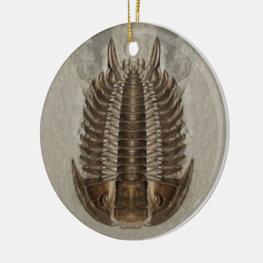 Trilobite Fossil Ornament (Links)