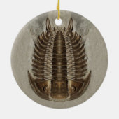 Trilobite Fossil Ornament (Achterkant)