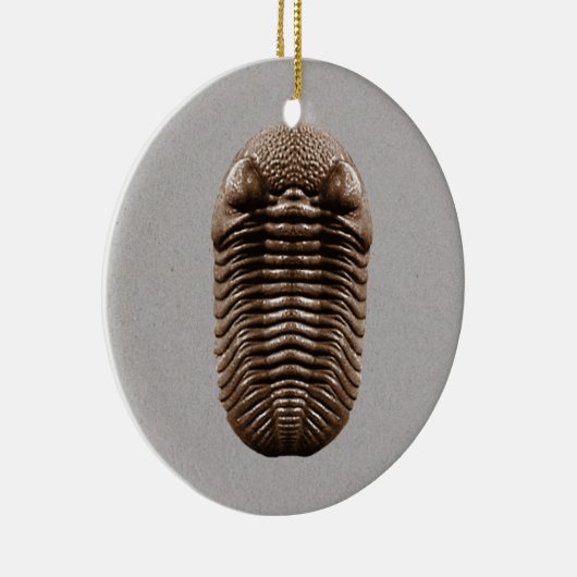 Trilobite Fossil Ornament (Rechts)