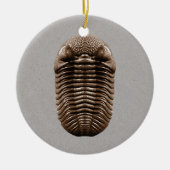 Trilobite Fossil Ornament (Voorkant)