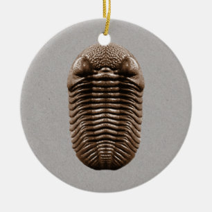 Trilobite Fossil Ornament