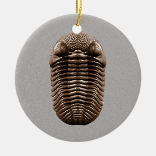 Trilobite Fossil Ornament (Voorkant)