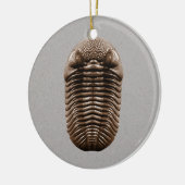Trilobite Fossil Ornament (Links)