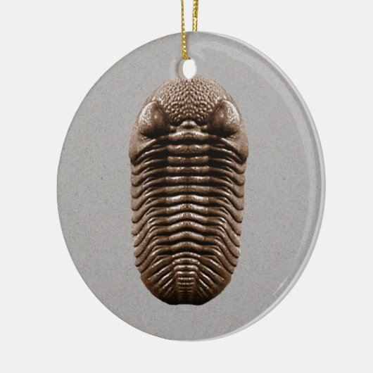 Trilobite Fossil Ornament (Links)