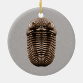 Trilobite Fossil Ornament (Achterkant)