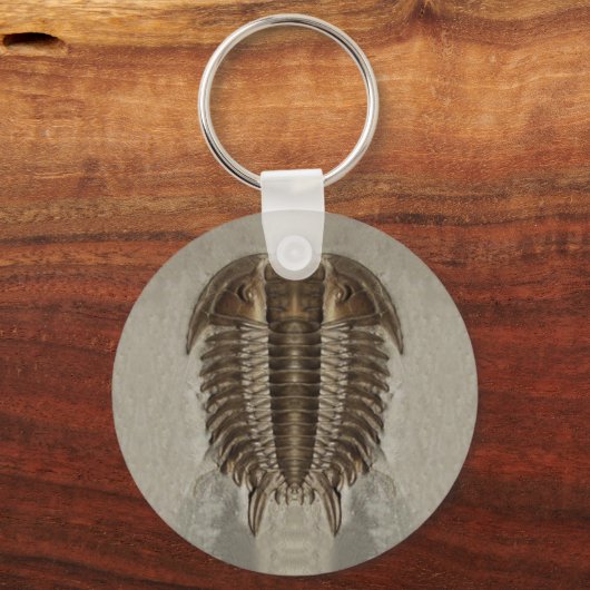 Trilobite Fossil Sleutelhanger (Voorkant)