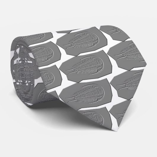 Trilobite Fossil Stropdas (Opgerold)