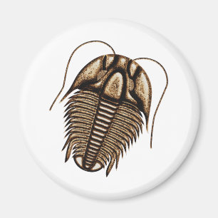 Trilobite Fridge Magnet