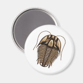 Trilobite koelkast magneet (Voorkant / Achterkant)