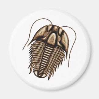 Trilobite koelkast magneet
