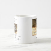 Trilobite Koffiemok (Center)