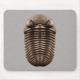 Trilobite Mousepad Muismat