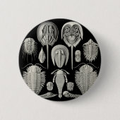 Trilobite! Ronde Button 5,7 Cm (Voorkant)