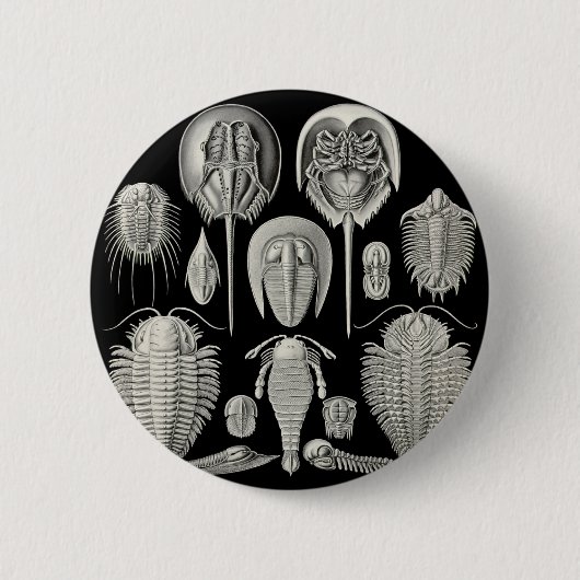 Trilobite! Ronde Button 5,7 Cm (Voorkant)