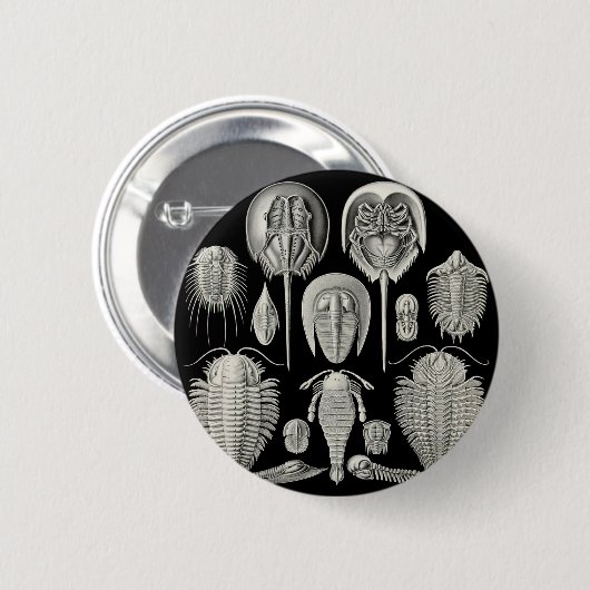 Trilobite! Ronde Button 5,7 Cm (Voorkant /achterkant)