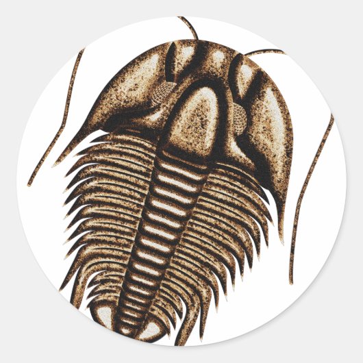 Trilobite Ronde Sticker (Voorkant)
