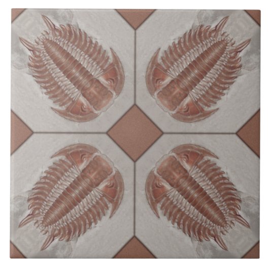 Trilobite Tile Tegeltje (Voorkant)