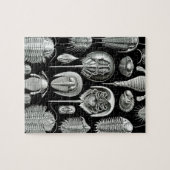 Trilobites and Fossils in Black and White Legpuzzel (Horizontaal)