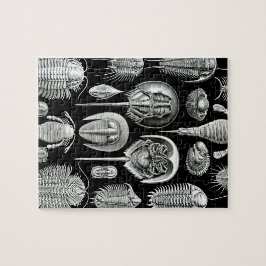 Trilobites and Fossils in Black and White Legpuzzel (Horizontaal)