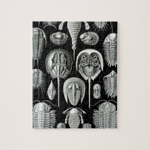 Trilobites and Fossils in Black and White Legpuzzel