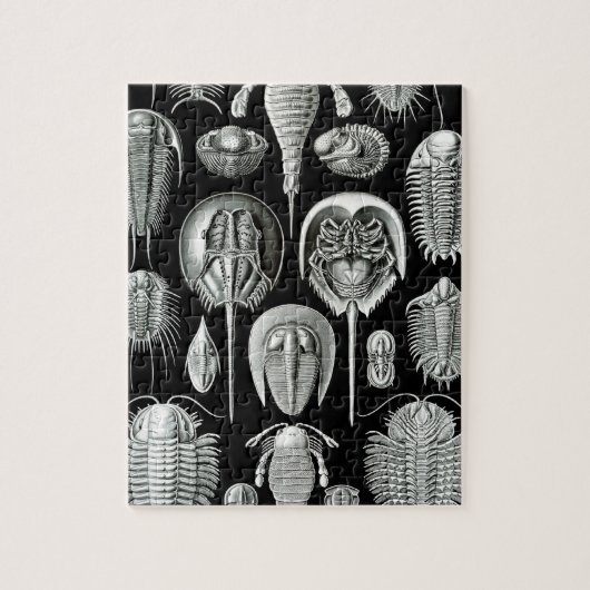 Trilobites and Fossils in Black and White Legpuzzel (Verticaal)