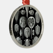 Trilobites and Fossils in Black and White Metalen Ornament (Rechts)