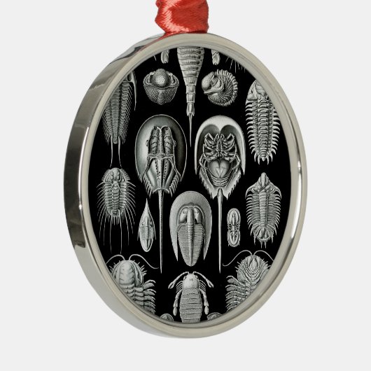 Trilobites and Fossils in Black and White Metalen Ornament (Rechts)