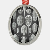 Trilobites and Fossils in Black and White Metalen Ornament (Links)