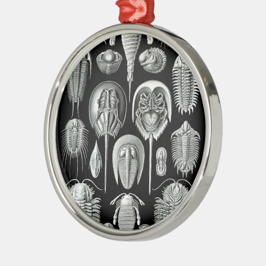 Trilobites and Fossils in Black and White Metalen Ornament (Links)
